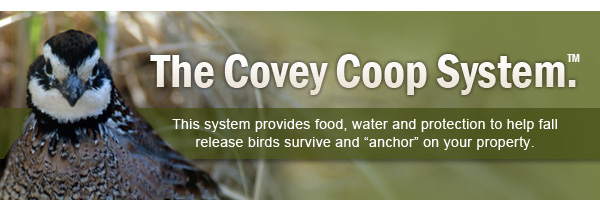 The Covey Camp System